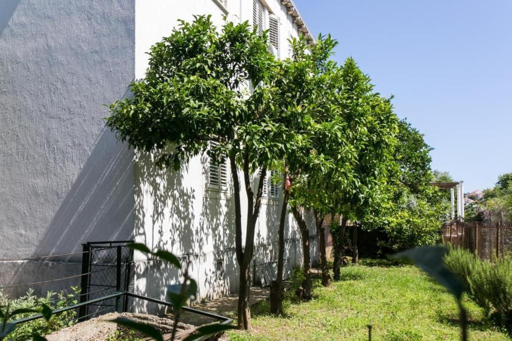 Apartment Blue & Green Dubrovnik Ngoại thất bức ảnh